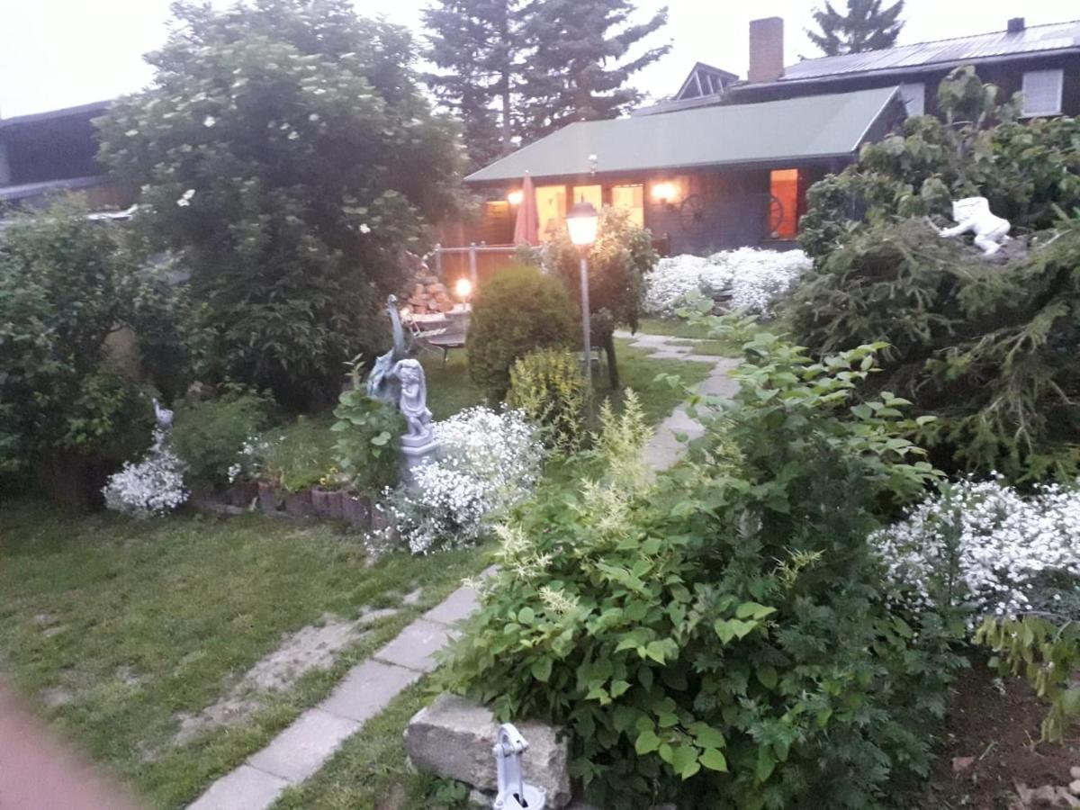 Ferienhaus Schulenberg Villa ฟรีดริคสบรุนน์ ภายนอก รูปภาพ