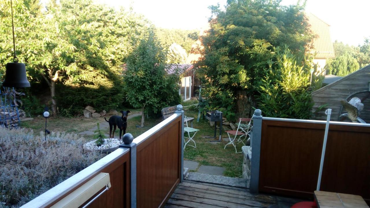 Ferienhaus Schulenberg Villa ฟรีดริคสบรุนน์ ภายนอก รูปภาพ